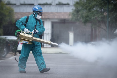 闷潮天气须防白蚁滋生